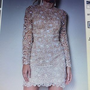 Venus lace dress